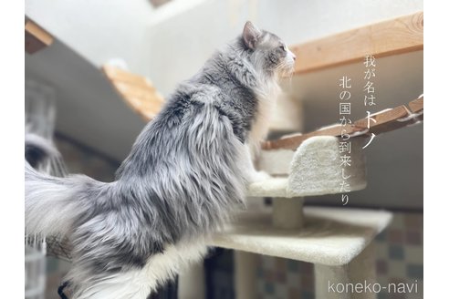 くん1枚目